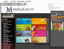 Tablet Screenshot of museedemillau.fr